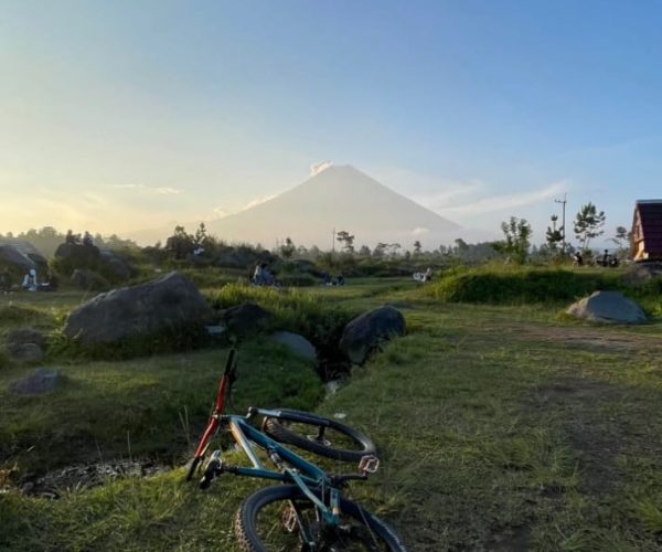 WhatsApp Image 2025-11-03 at 7.21.58 PM (2)